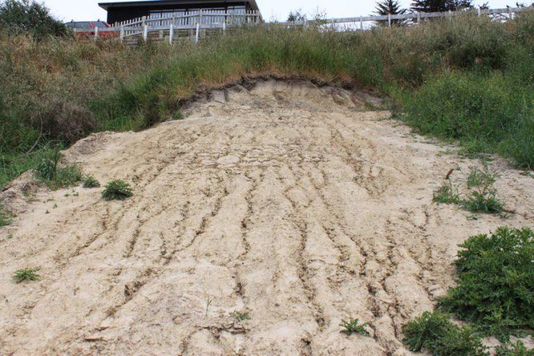 rill-erosion-in-loess-soil-on-a-lyttelton-harbour-whakaraup-building