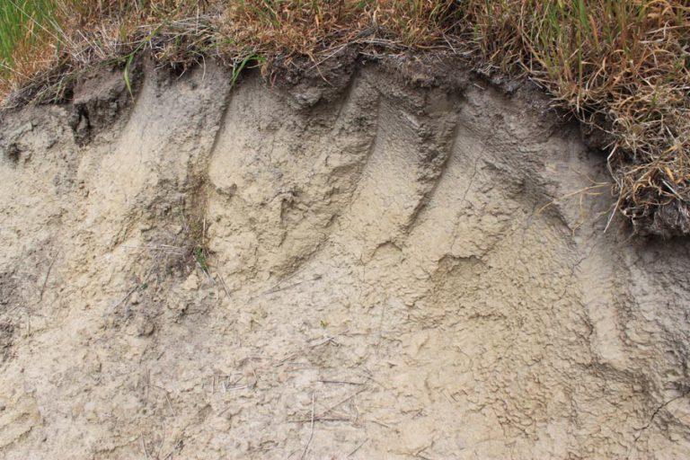Splash erosion at the head of a cut, loess soil on a building site on