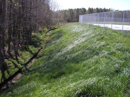 Compost and grassing