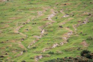 Photograph of gully erosion.