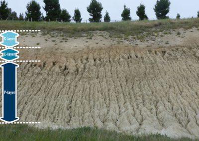 Severely eroding loess, Port Hills. Note how erosion affects the P-layer more severely. Sheet wash at the top of the slope rapidly transitions to rilling on the lower half. (Source: EOS Ecology Limited).