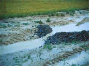 Check dam (Source: Auckland Council).