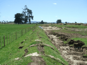 Turfing scraped from within the site to stabilise the perimeter bund. The perimeter bund provides both clean and dirty water control (Source: SouthernSkies