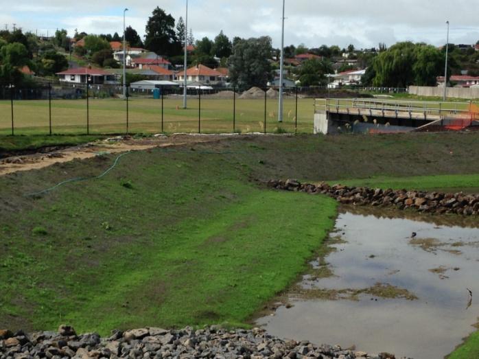 One week later, grass starting to take well (Source: SouthernSkies).