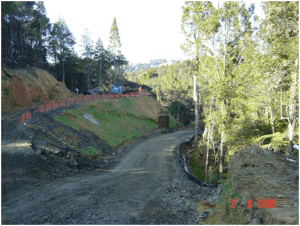 A road construction site—minimising disturbance by leaving as much undisturbed vegetation as possible (Source: SouthernSkies Limited).