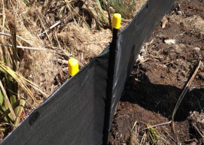 Doubling the fabric over at the end around the waratah (Source: SouthernSkies).